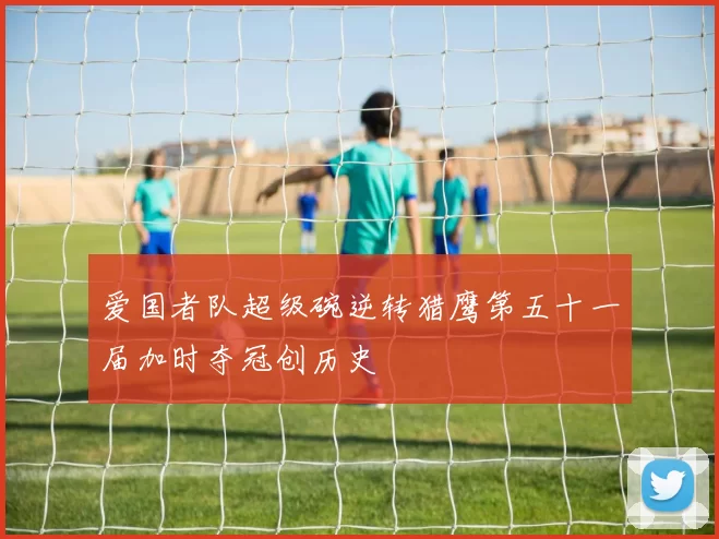 爱国者队超级碗逆转猎鹰第五十一届加时夺冠创历史